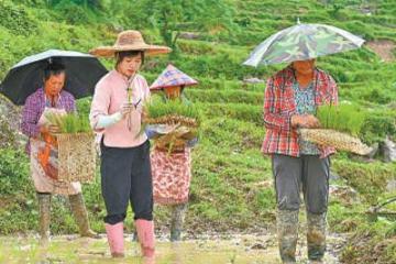 '广东阳江阳东区农村电商产业园负责人梁梅花—— 新农人打开新销路